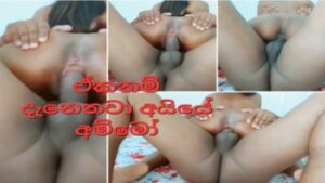 Sri lankan Cheating Wife Fucked By Friend යාලුවගේ ගෑනි එක්ක